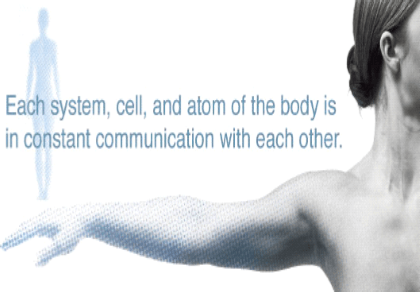 Cells Constant communication